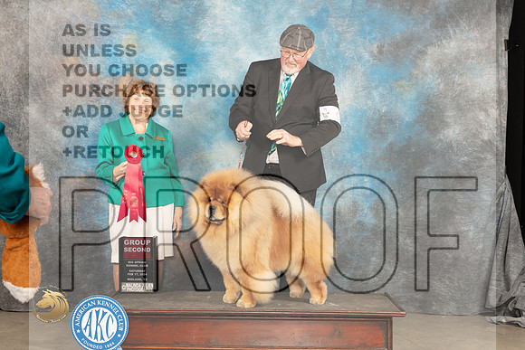 Chow #9 Sat G2 Judge Donnelle Richards_JP_1482_MIDLAND2024_HR3
