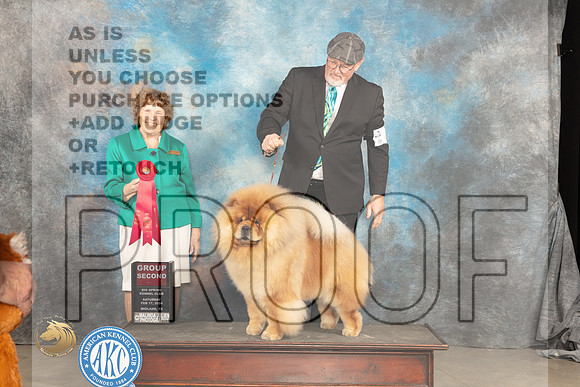Chow #9 Sat G2 Judge Donnelle Richards_JP_1483_MIDLAND2024_HR3