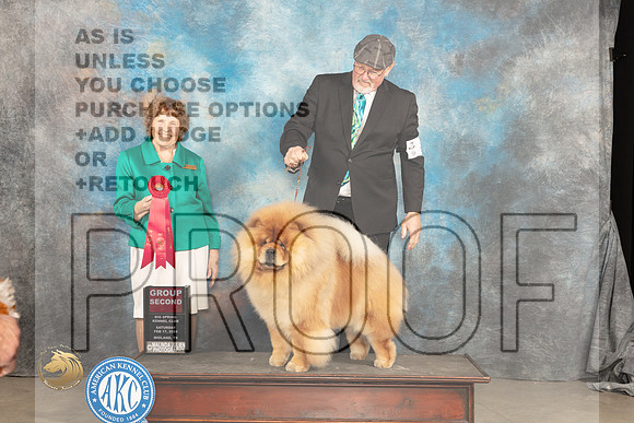 Chow #9 Sat G2 Judge Donnelle Richards_JP_1484_MIDLAND2024_HR3