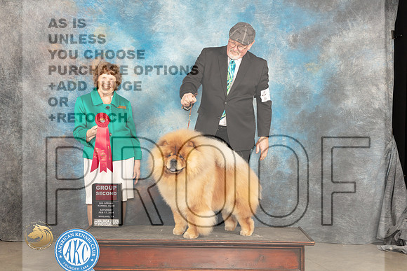 Chow #9 Sat G2 Judge Donnelle Richards_JP_1486_MIDLAND2024_HR3