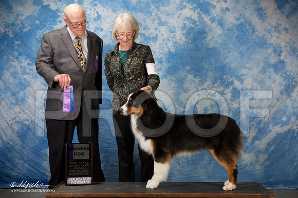 SS2_0679-BeltonJan2015IABCA-HR3
