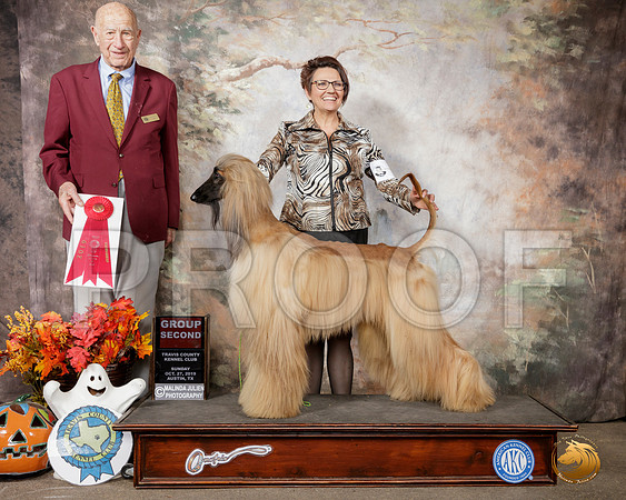 Afghan Hound #7 Sun G2 Judge Sonny Ambrosio__SR_1958-Austin2019-HR3