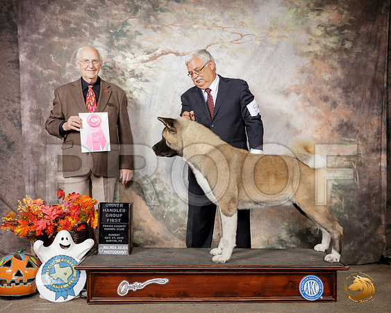 Akita #5 OHG1 Judge Robert Shreve__SR_1912-Austin2019-HR3