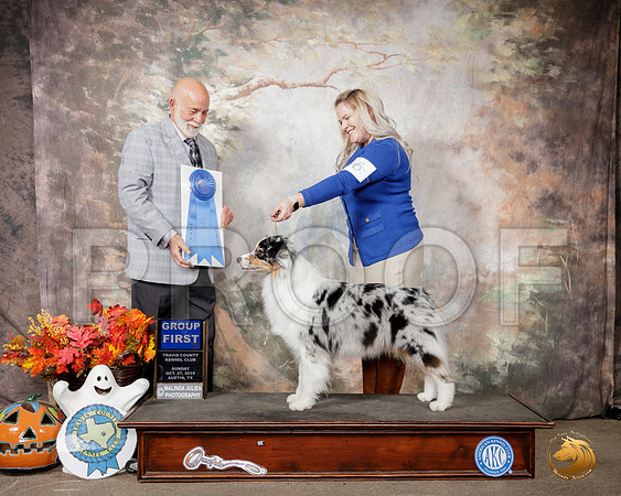 Australian Shepherd #6 Sun G1 Judge Sam Houston McDonald__SR_1862-Austin2019-HR3