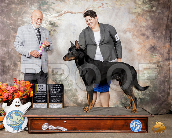 Beauceron #5 Sun BOB Judge Sam Houston McDonald__SR_1839-Austin2019-HR3