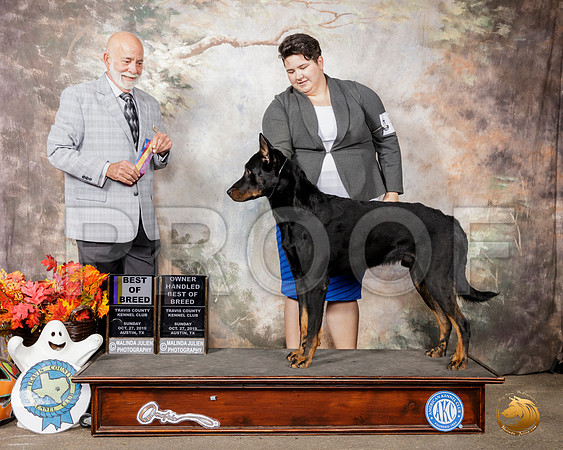 Beauceron #5 Sun BOB Judge Sam Houston McDonald__SR_1840-Austin2019-HR3
