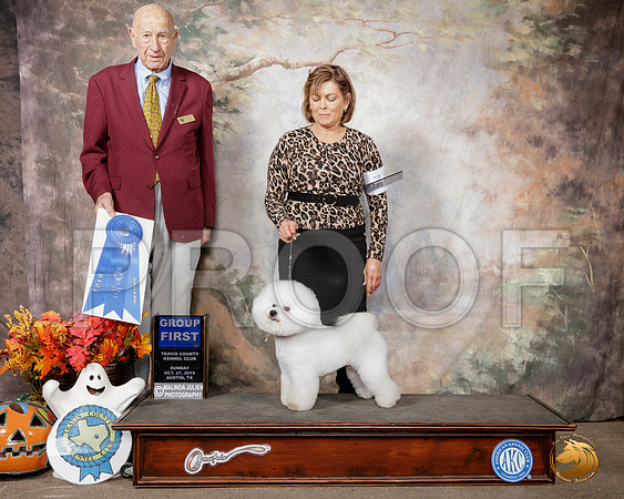 Bichon Frise#7 Sun G1 Judge Sonny Ambrosio__SR_1954-Austin2019-HR3