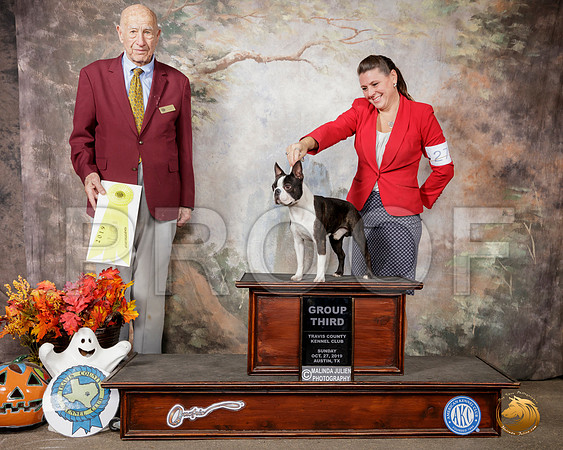 Boston Terrier #27 Sun G3 Judge Sonny Ambrosio__SR_1967-Austin2019-HR3