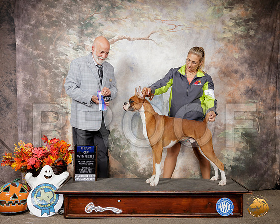 Boxer #5 Sun BOW Judge Sam Houston McDonald__SR_1776-Austin2019-HR3