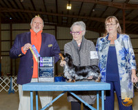 Dachshund Long #5 Sun BOW Maj Judge Hal Biermann