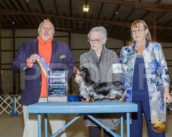Dachshund Long #5 Sun BOW Maj Judge Hal Biermann__JJ_7679-Austin2019-HR3