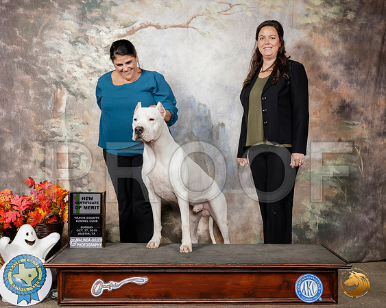 Dogo #5 Sun Cert of Merit__SR_1713-Austin2019-HR3