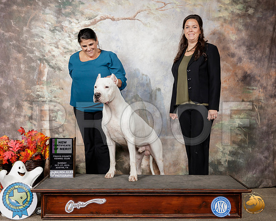 Dogo #5 Sun Cert of Merit__SR_1714-Austin2019-HR3