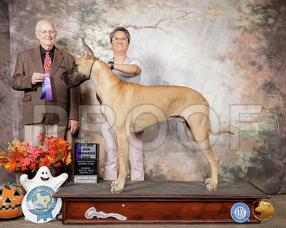 Great Dane #21 Sudn WD Maj Judge Robert Shreve__SR_1831-Austin2019-HR3
