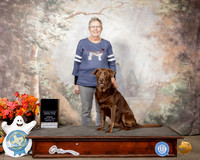Labrador Retriever #R42 Sun Rally Champion