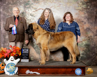 Leonberger #9 Sun BOW Maj Judge Robert Shreve