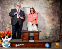 Maltese #7 Sun BOB Maj Judge David Kirkland