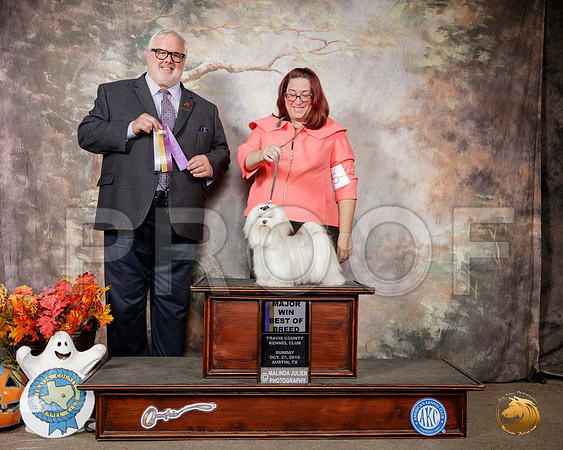 Maltese #7 Sun BOB Maj Judge David Kirkland__SR_2008-Austin2019-HR3
