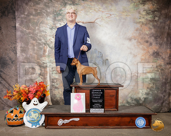 Miniature Pinscher #? Sun OHG1__SR_2046-Austin2019-HR3