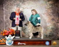 Norwegian Elkhound #5 Sat G2 Judge Hal Biermann