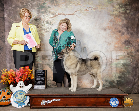 Norwegian Elkhound #5 Sun OHG1 Judge Cindy Lane__SR_1980-Austin2019-HR3