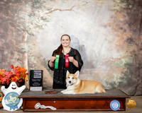 Pembroke Welsh Corgi #R5 Rally Exc