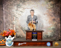 Pomeranian #5 Sun BOB