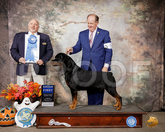 Rottweiler #5 Sun G1 Judge Hal Biermann__SR_1864-Austin2019-HR3
