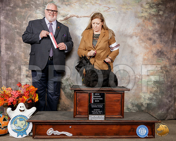 Scottish Terrier #9 Sun BOS Judge David Kirkland__SR_1809-Austin2019-HR3