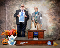 Shih Tzu #11 Sun G1 Judge David Kirkland