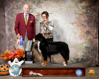 Swiss Mountain Dog #6 Sun BOB Judge Sonny Ambrosio