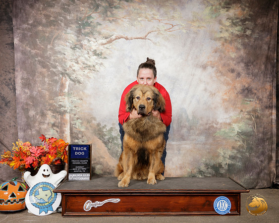 Tibetan Mastiff #5 Sun Trick__SR_1889-Austin2019-HR3