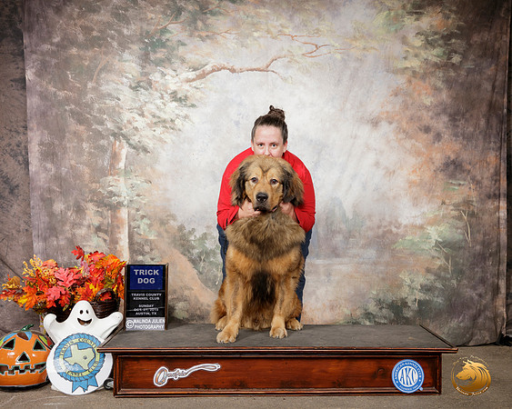 Tibetan Mastiff #5 Sun Trick__SR_1890-Austin2019-HR3