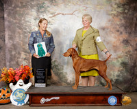Vizsla #18 Sun OHG3 Judge Theresa Milan