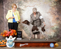 German Shorthaired Pointer #10 Sun G3 Judge Cindy Lane