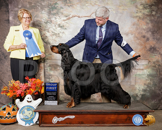 Gordon Setter #7 Sun G1 Judge Cindy Lane__SR_1929-Austin2019-HR3