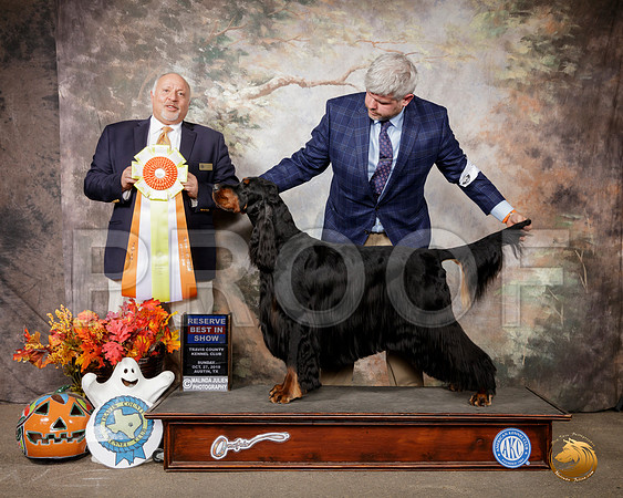 Gordon Setter #7 Sun RBIS Judge Hal Biermann__SR_2015-Austin2019-HR3