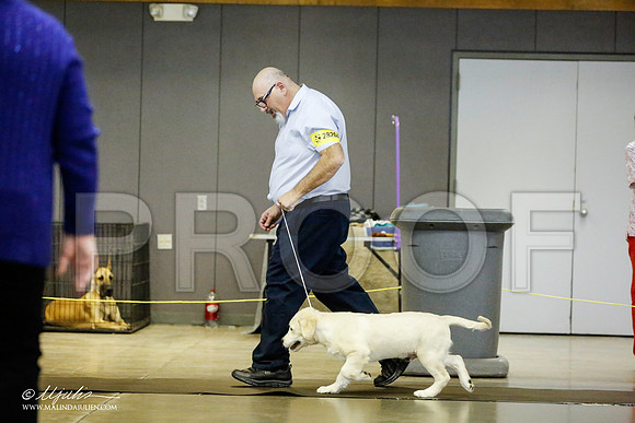 _RH_0956-BeltonJan2015IABCA-HR3