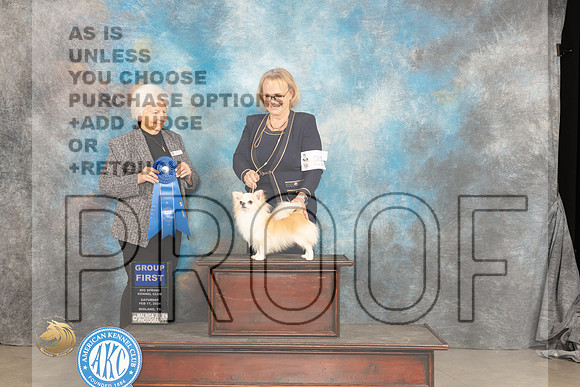 Chihuahua Long Coat #21 Sat G1 Judge Gloria Kerr_JP_1512_MIDLAND2024_HR3