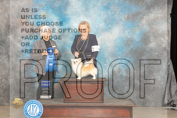 Chihuahua Long Coat #21 Sat G1 Judge Gloria Kerr_JP_1514_MIDLAND2024_HR3