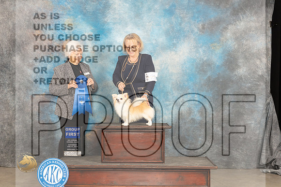 Chihuahua Long Coat #21 Sat G1 Judge Gloria Kerr_JP_1516_MIDLAND2024_HR3