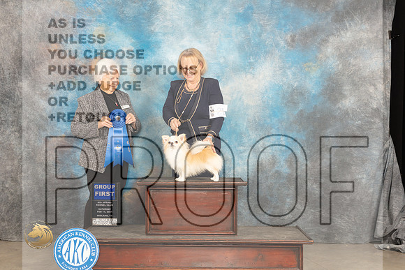 Chihuahua Long Coat #21 Sat G1 Judge Gloria Kerr_JP_1517_MIDLAND2024_HR3