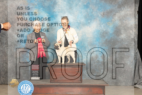 Pug #11 Sat G2 Judge Gloria Kerr_JP_1607_MIDLAND2024_HR3