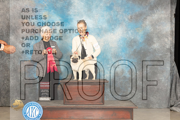 Pug #11 Sat G2 Judge Gloria Kerr_JP_1610_MIDLAND2024_HR3