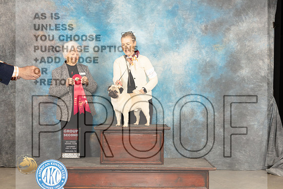Pug #11 Sat G2 Judge Gloria Kerr_JP_1612_MIDLAND2024_HR3