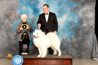 Samoyed #8 Sat RBIS Judge Gloria Kerr