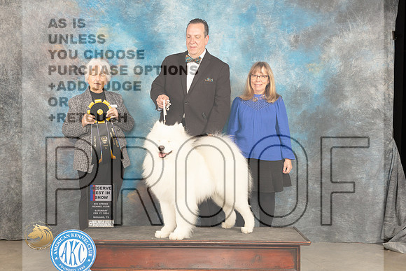 Samoyed #8 Sat RBIS Judge Gloria Kerr_JP_1601_MIDLAND2024_HR3