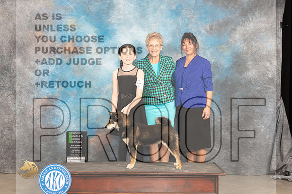 Shiba Inu #5 Sat OHG2 Judge Judy Wade_JP_1510_MIDLAND2024_HR3