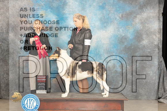 Smooth Collie #5 Sat G2 Judge Carolyn Herbel_JP_1566_MIDLAND2024_HR3