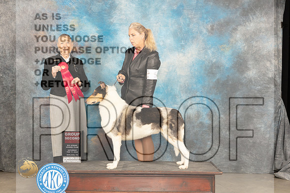Smooth Collie #5 Sat G2 Judge Carolyn Herbel_JP_1569_MIDLAND2024_HR3